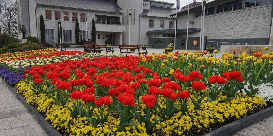 Best Relax Heviz Apartman Exterior photo